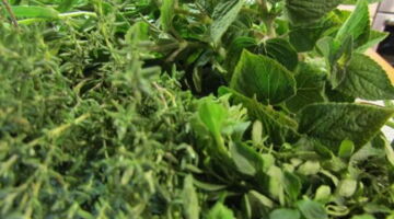 Bitterstoffe, Ernährungsberatung EssPunkt-richtig.de