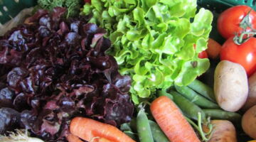 Quer durch die Woche mit EssPunkt-richtig, Ernährungsberatung