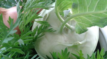 Vitalstoffreich mit EssPunkt-richtig.de