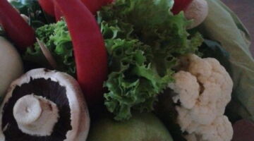 Vegan mit Pep, EssPunkt-richtig.de